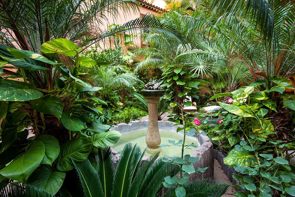 Hotel Livvo La Quinta Roja Garachico  Eksteriør bilde